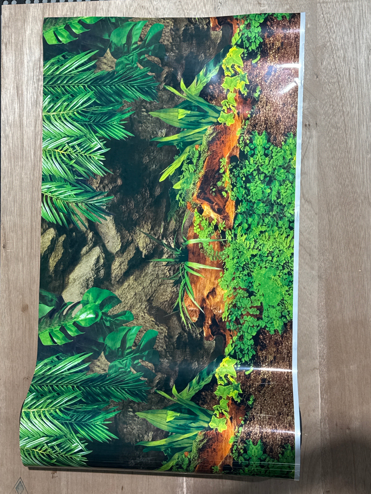 Aquarium Background - Algae/Wood or Rock Double Sided 19" Tall (PER FOOT)
