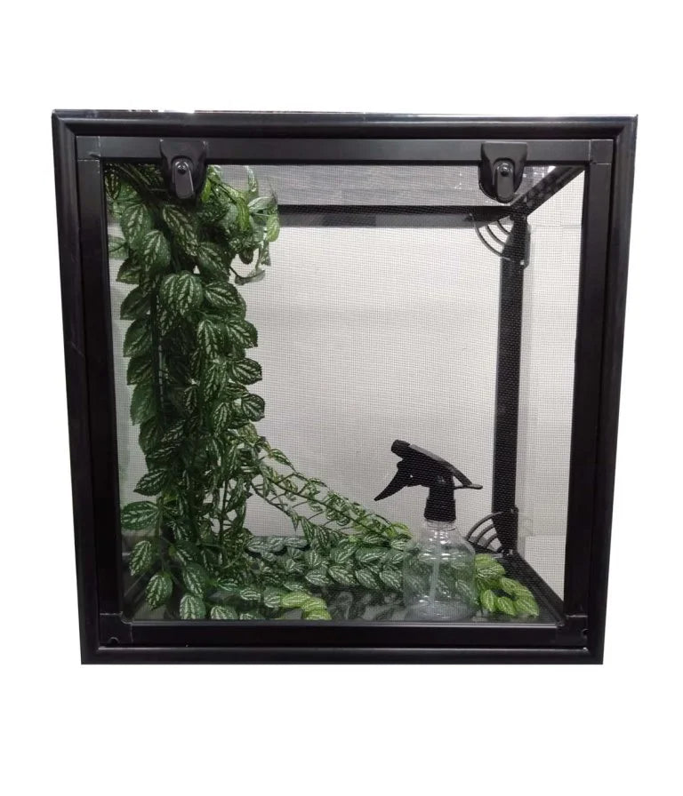 URS Budget Stick Insect Package