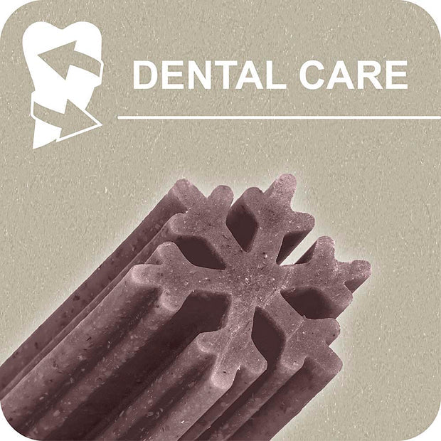 100% Snack Snowflake Stick Relaxing