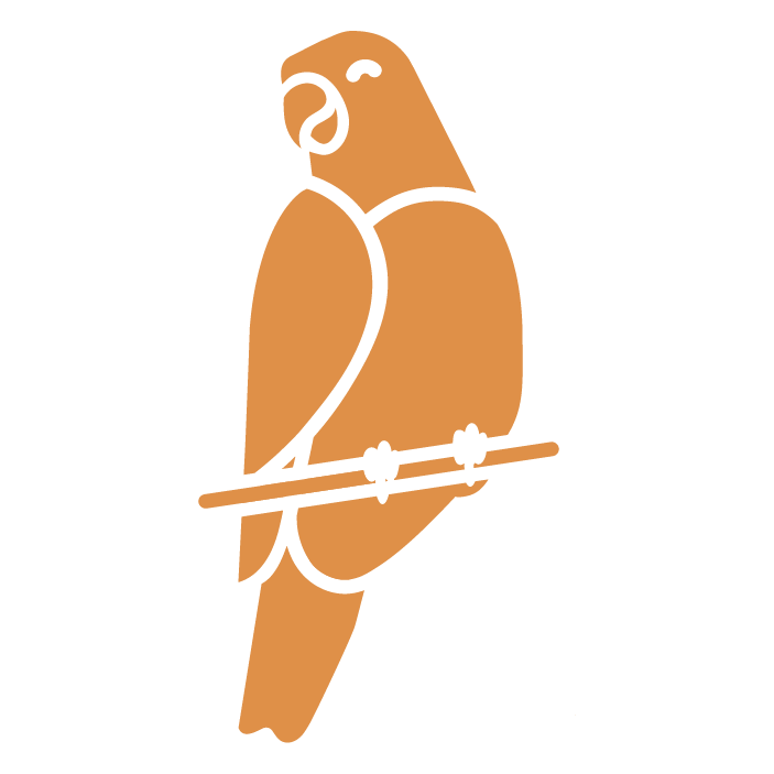 Locally Made Nest Box - Budgie