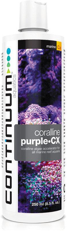 Continuum Coralline Purple CX