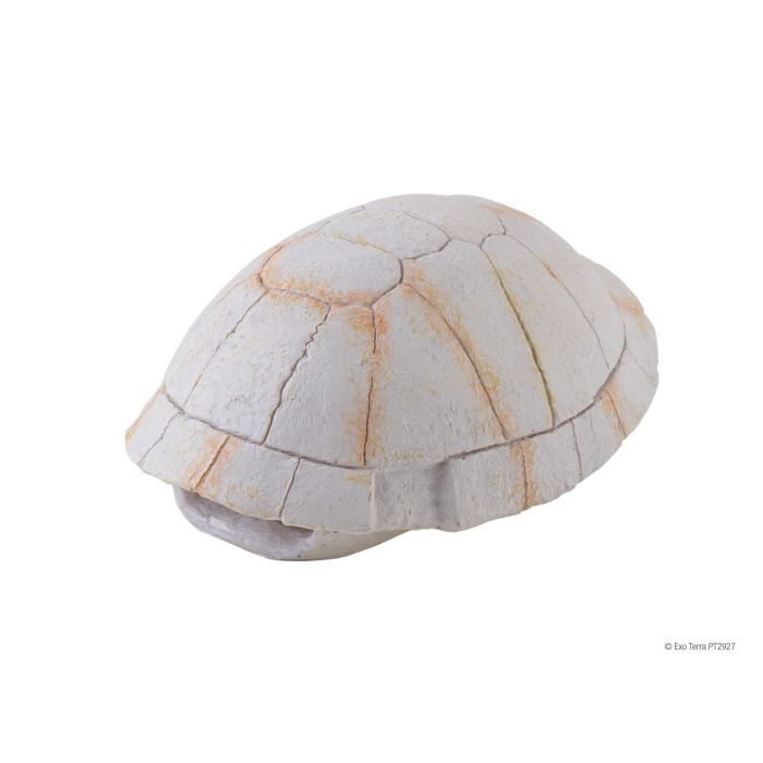 Eco Tech Tortoise Skeleton