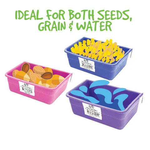 Rectangle Coop Cup