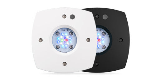 Prime 16 HD Black