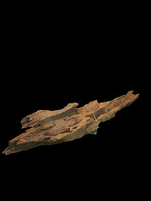 Nino’s Java Driftwood Medium