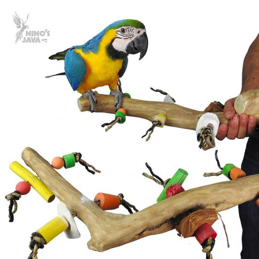 Nino's Java Multi Branch With Toys