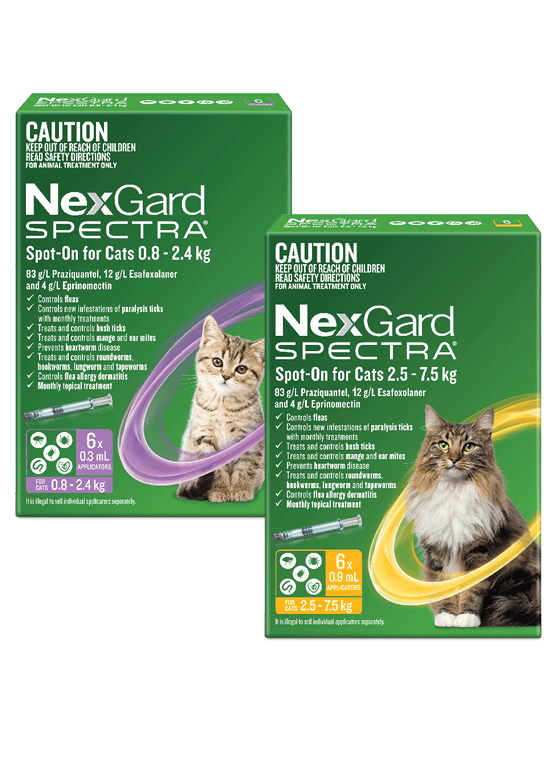 Nexgard Spectra Spot- On For Cats