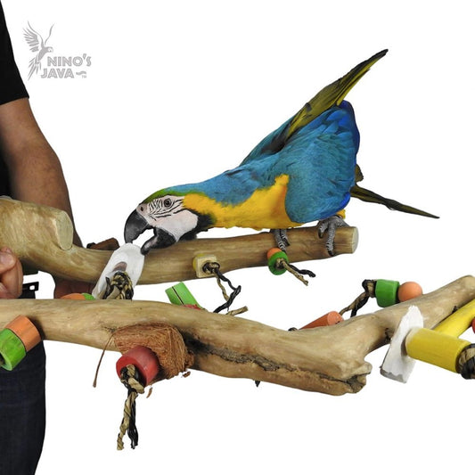 Nino's Java Multi Branch With Toys