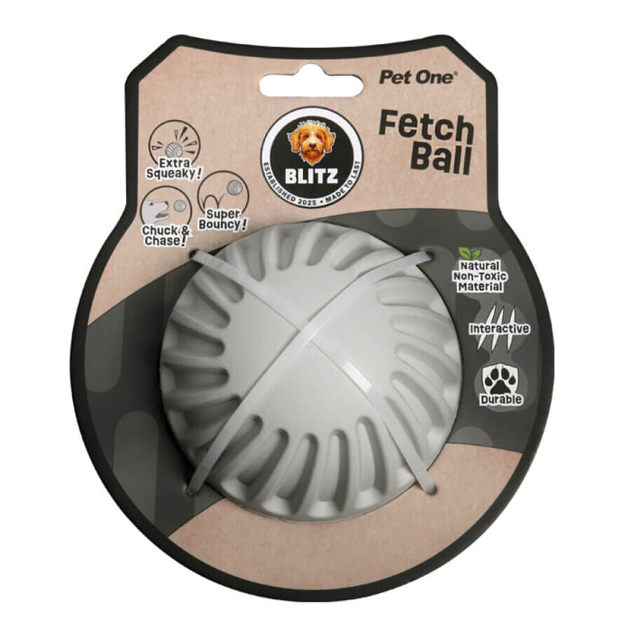 Blitz Fetch Ball