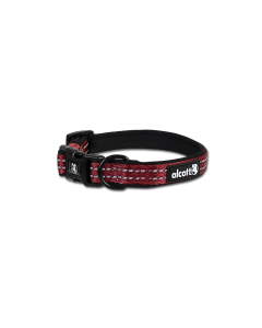 Alcott Adventure Reflective Collar