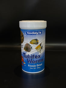 Todays Tubifex Worms