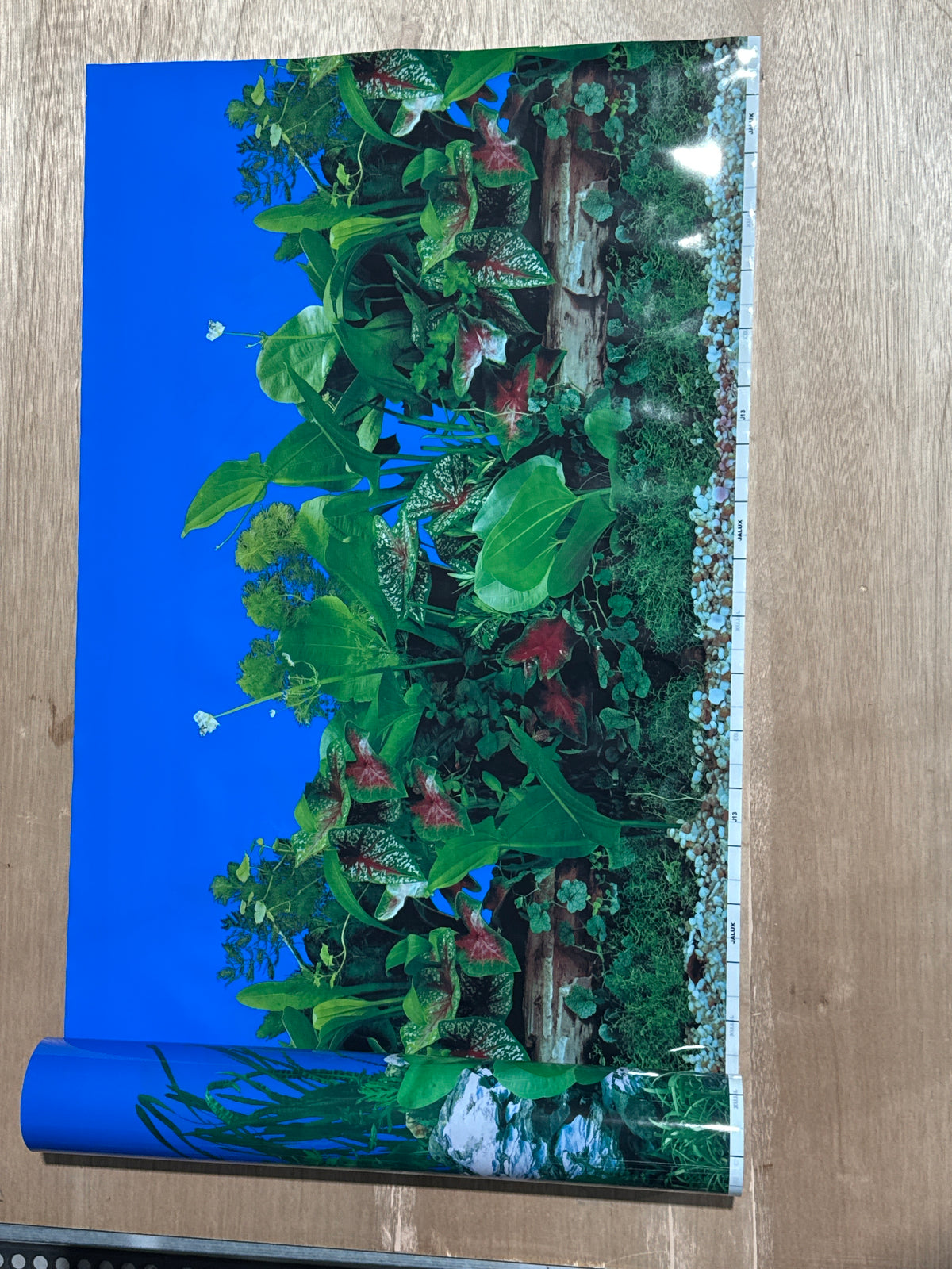 Aquarium Background - Plants or Greenery Double Sided 24" Tall (PER FOOT)
