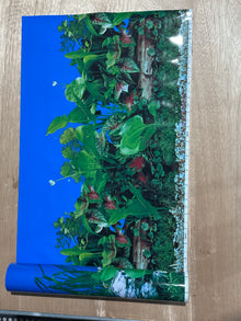Aquarium Background - Plants or Greenery Double Sided 24" Tall (PER FOOT)
