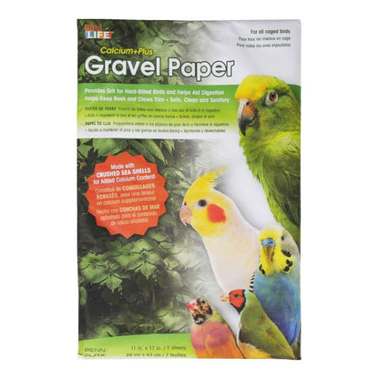 Bird Life Sand Sheets