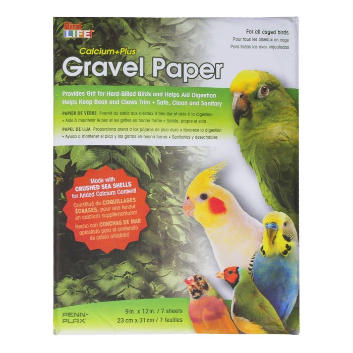 Bird Life Sand Sheets