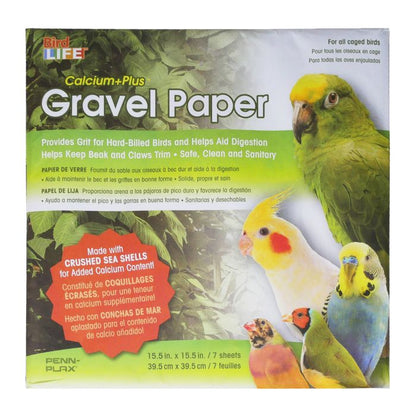 Bird Life Sand Sheets