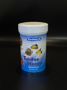 Todays Tubifex Worms