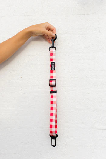 Captain Adjustable Car Restraint