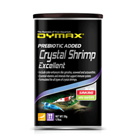 Dymax Crystal Shrimp Excellent Slow Sinking Mini Wafer