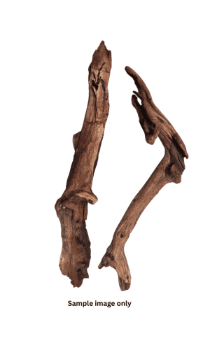 Dymax Reptile Log