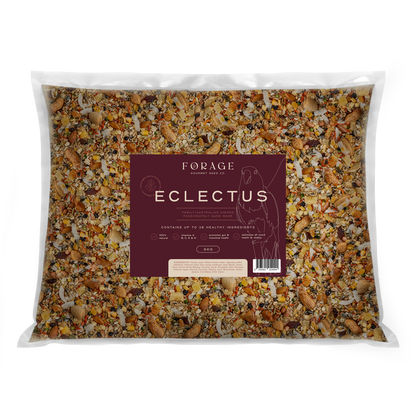 Forage Gourmet Eclectus