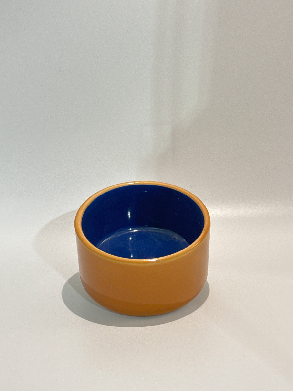 Ceramic Pet Dish