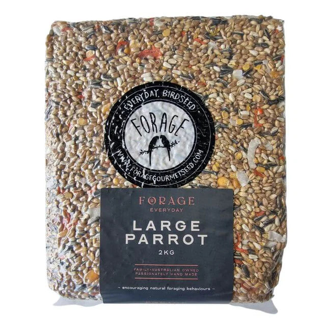 Forage Everyday Large Parrot