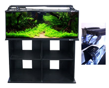 Aqua One Horizon 130 Glass Starter Kit w/ Stand 130L