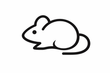 Feeder Mice Packs (In Store Pick Up Only)