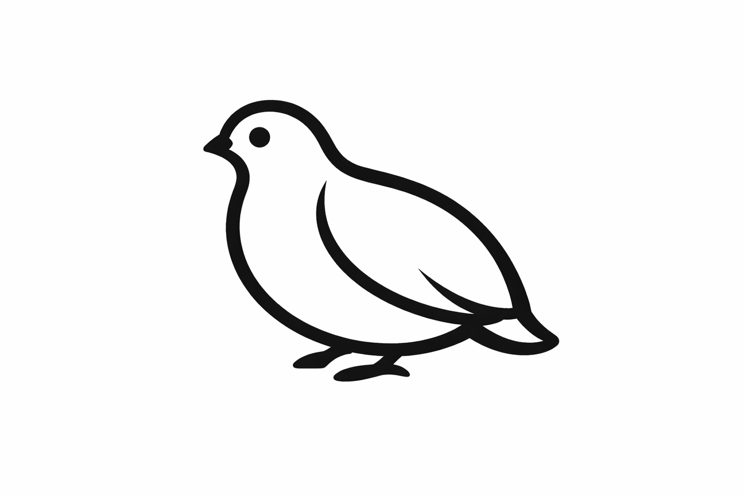 Feeder Quail SINGLES (In Store Pick Up Only)