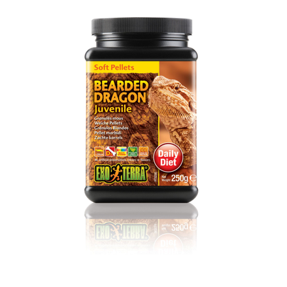 Exo Terra Bearded Dragon Food