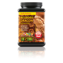Exo Terra Bearded Dragon Food