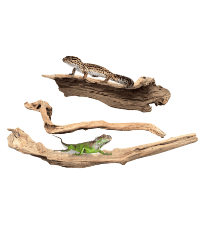Dymax Reptile Log