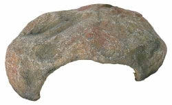 Reptile Cave