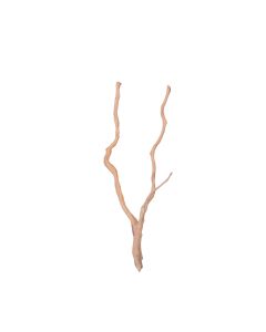 Bioscape Spider Wood