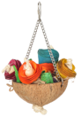 Feathered Friends Coco Cabana Coconut Flower Pot
