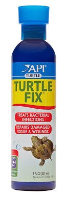 API Turtle Fix