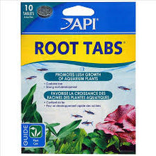 API Root Tablets Card of 10