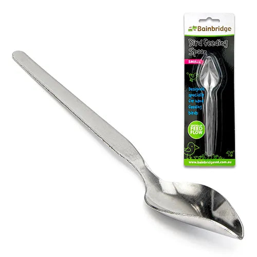 Bainbridge Bird Feeding Spoon