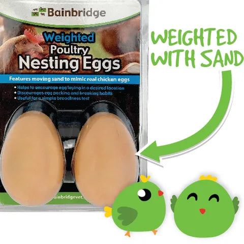 Bainbridge Weighted Poultry Nesting Egg - 2 pack
