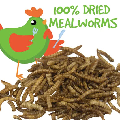 Dried Mealworms 100G