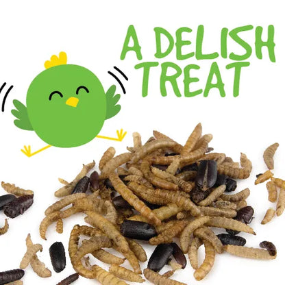 Dried Mealworm & Bug Mix 100G