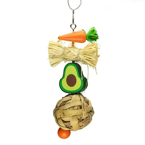 Avocado Chew Toy