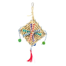 Fiesta Kite