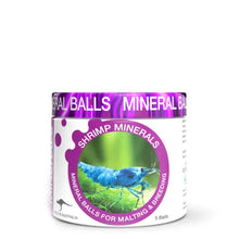 Shrimp Mineral 5 Balls