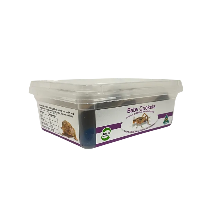 Live Crickets
