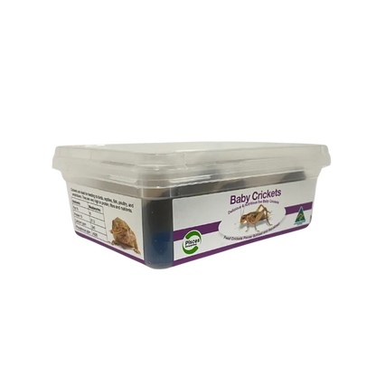 Live Crickets