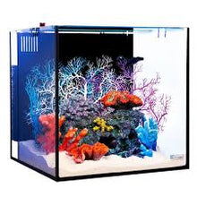 Aqua One NanoReef 80 Marine Aquarium