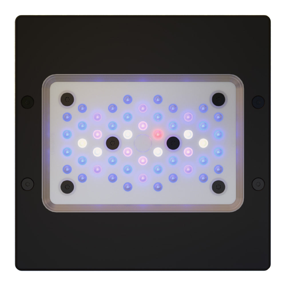EcoTech Radion XR15 Gen 6 BLUE