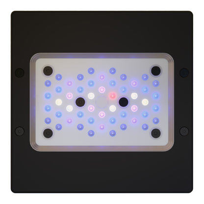 EcoTech Radion XR15 Gen 6 BLUE